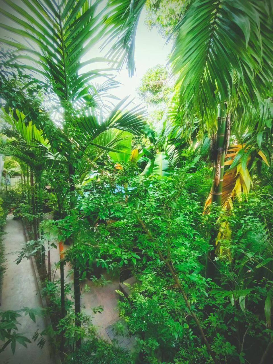 Green Stay Village Siem Reap Extérieur photo